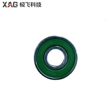 Cojinete del motor P100 Pro /P60