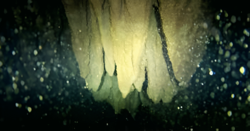 fondo marino aquavision zoom pro